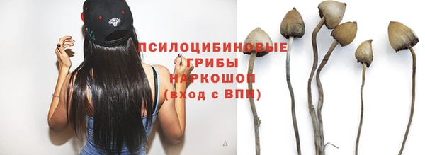 эйфоретик Алексин
