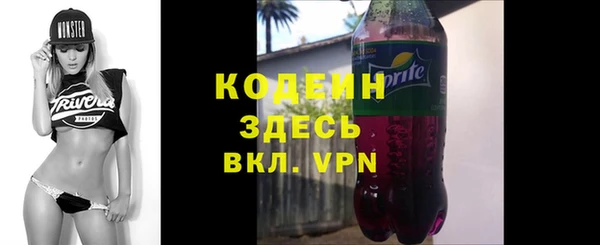 сатива Арсеньев