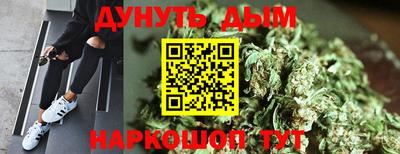 мдпв Новозыбков