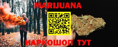 мдпв Новозыбков