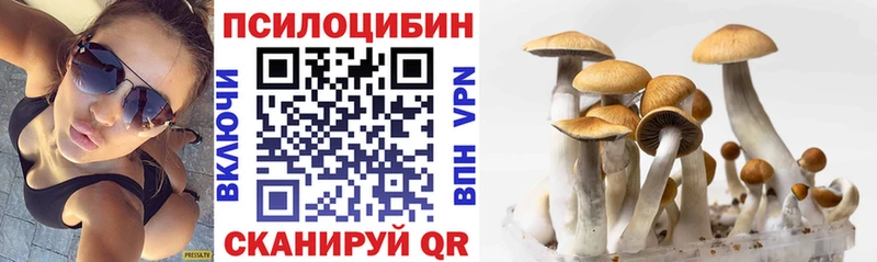 купить закладку  Уварово  Галлюциногенные грибы ЛСД 
